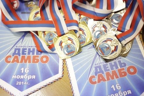 
<p>                                Всероссийский день самбо тамбовские спортсмены встретят традиционными соревнованиями</p>
<p>                        